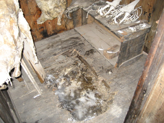 2006 Hole in the floor of Scott's 'Discovery' hut, Hut Point