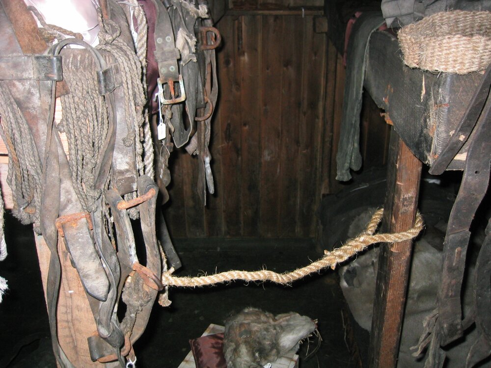2006 Tack hanging inside Scott's 'Terra Nova' hut, Cape Evans