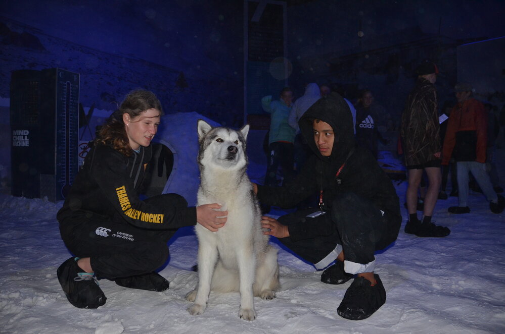 Young Inspiring Explorers&trade; with a husky  weathering a storm in the International Antarctic Centre (004)