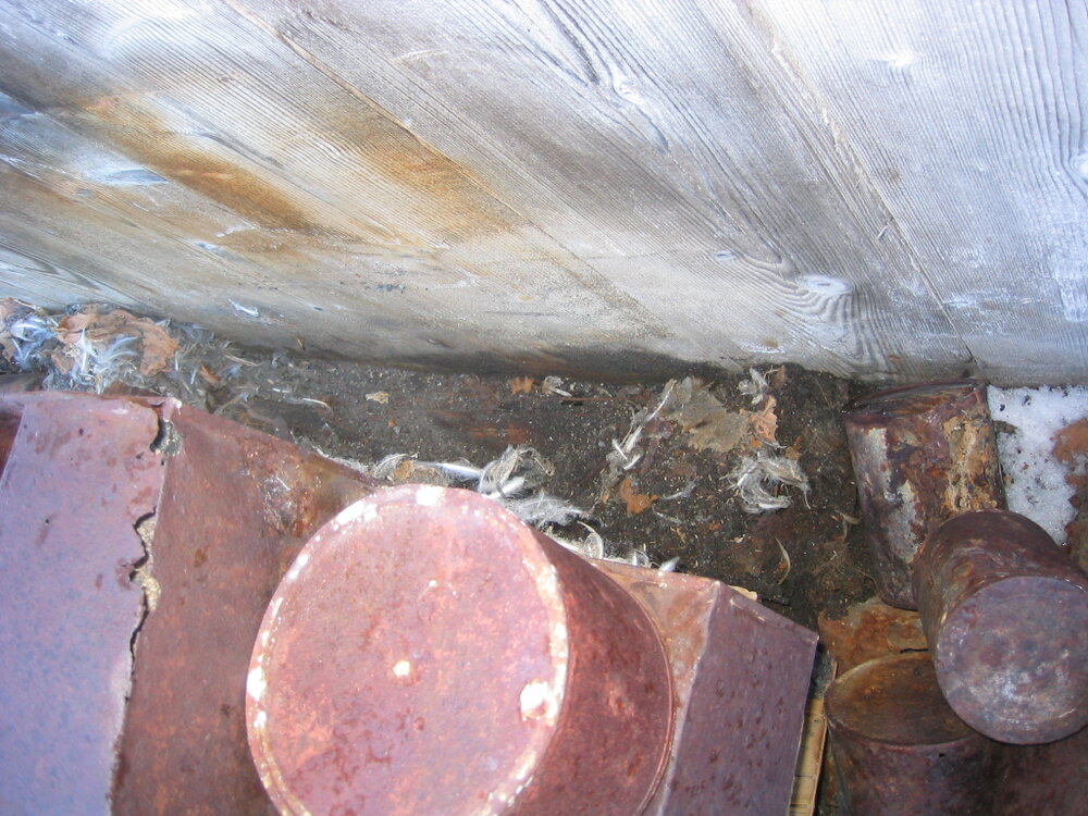 2003-04 Exterior wall and tins at Shackleton's 'Nimrod' Hut