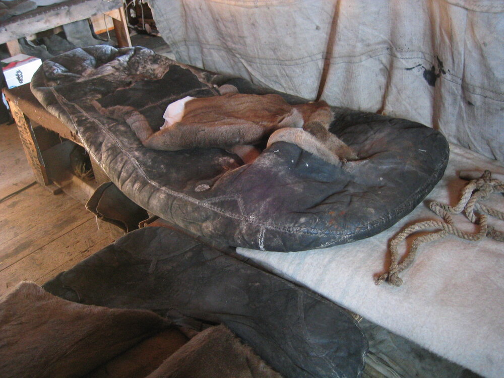 2003-04 Bunks and reindeer fur sleeping bags in Shackleton's 'Nimrod' Hut (010)