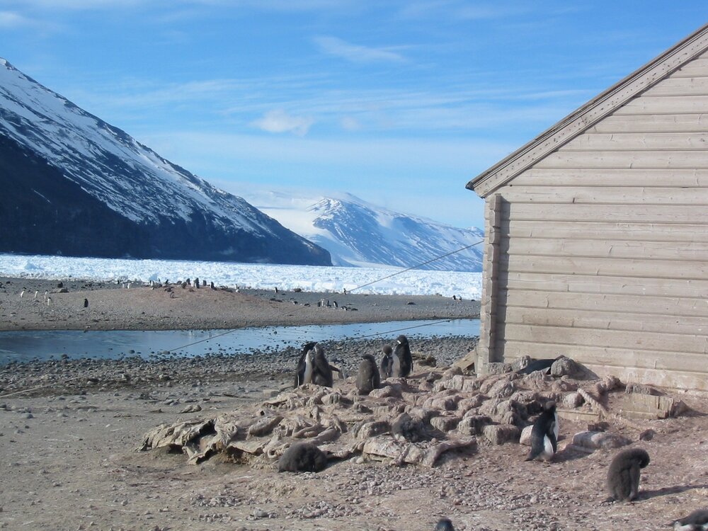 2003 K440 at Cape Adare - Borchgrevink's Living hut and Warning Glacier