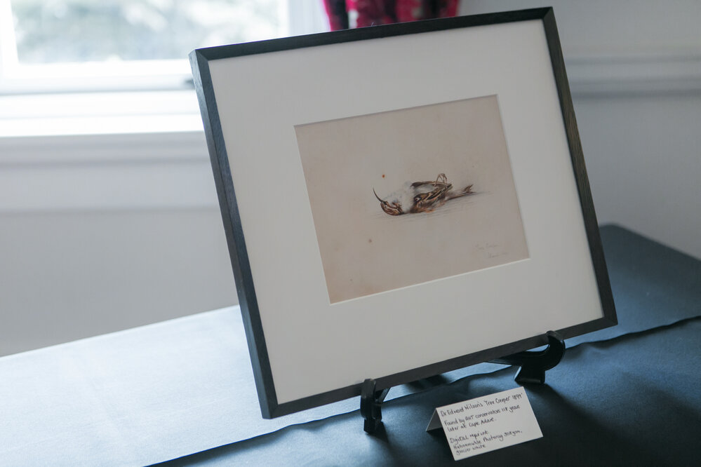 Tree Creeper 1899' found by AHT's conservators at Cape Adare