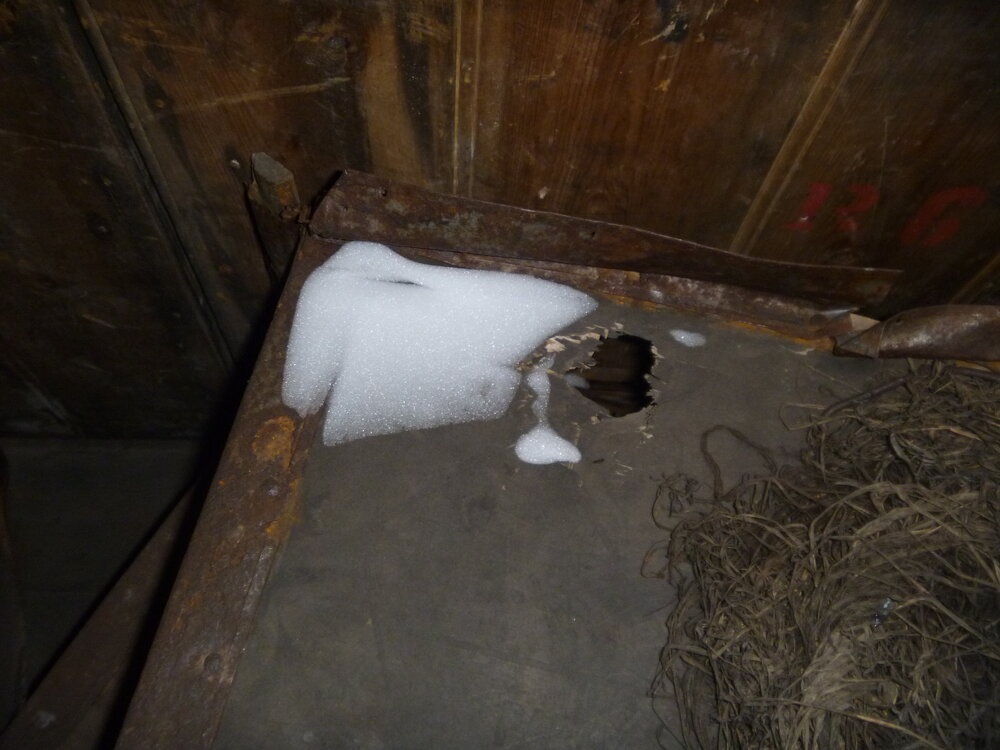 Snow ingress at Scott's 'Discovery' hut (002)