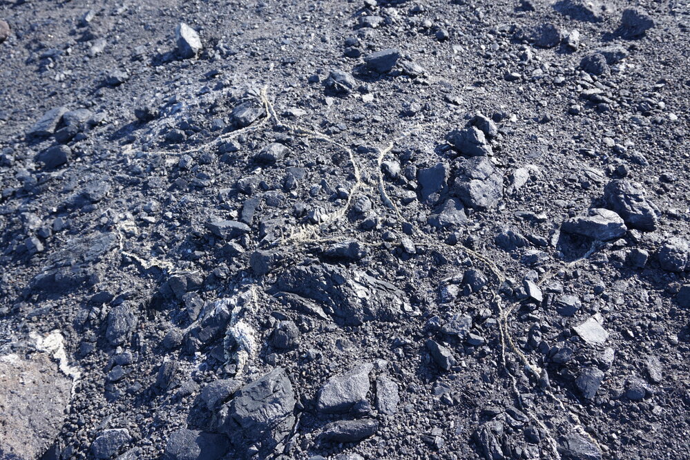 2019-20 Remnants of rope implanted amongst the rocks