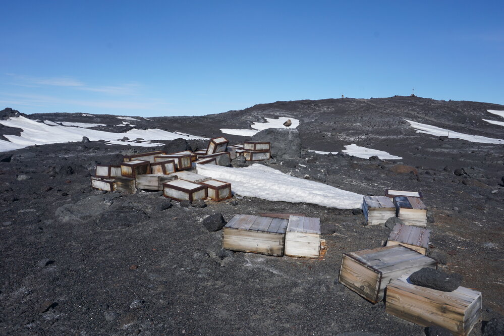 2019-20 Wooden and metal Venesta boxes of stores near Scott's 'Terra Nova' Hut at Cape Evans (001)