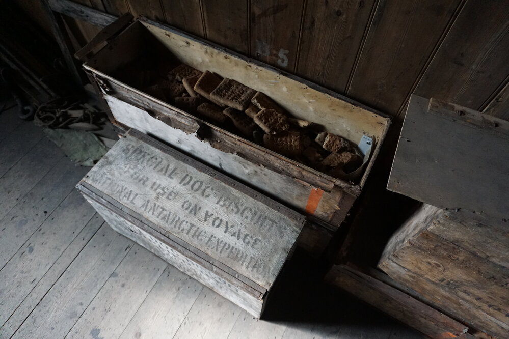 2019-20 Boxes of dog biscuits at Scott's 'Discovery' Hut 