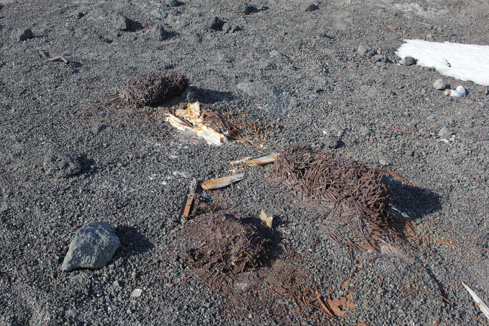 2019-20 Stacks of nails near Scott's 'Terra Nova' Hut (004)