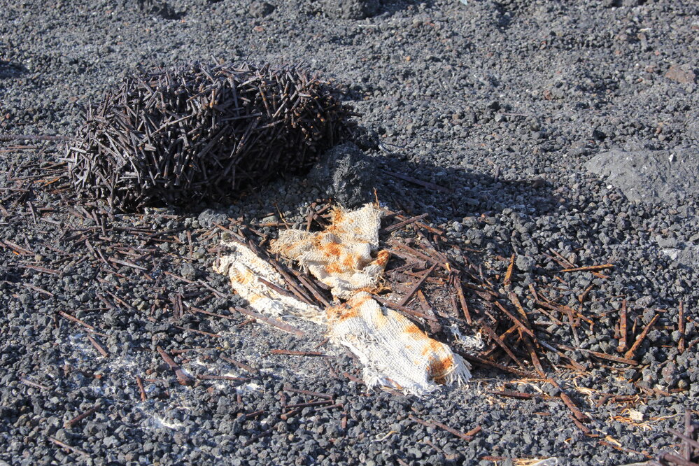 2019-20 Stacks of nails near Scott's 'Terra Nova' Hut (007)