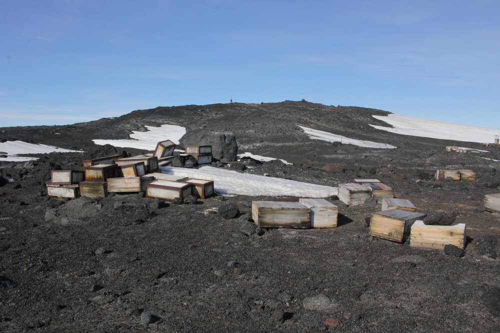 2019-20 Southern food cache near Scott's 'Terra Nova' Hut (002)