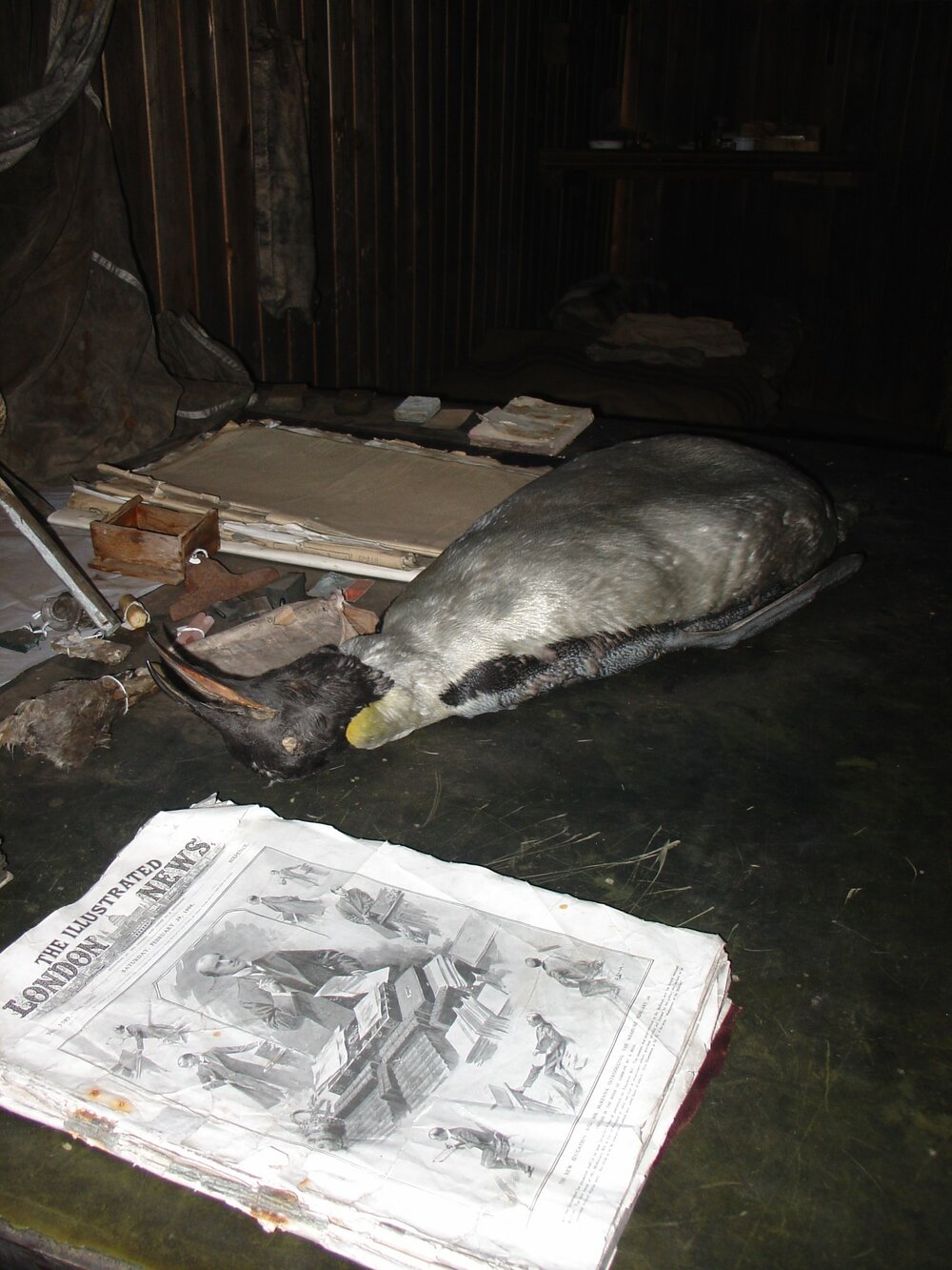 2003-04 Chart table in Scott's 'Terra Nova' Hut 