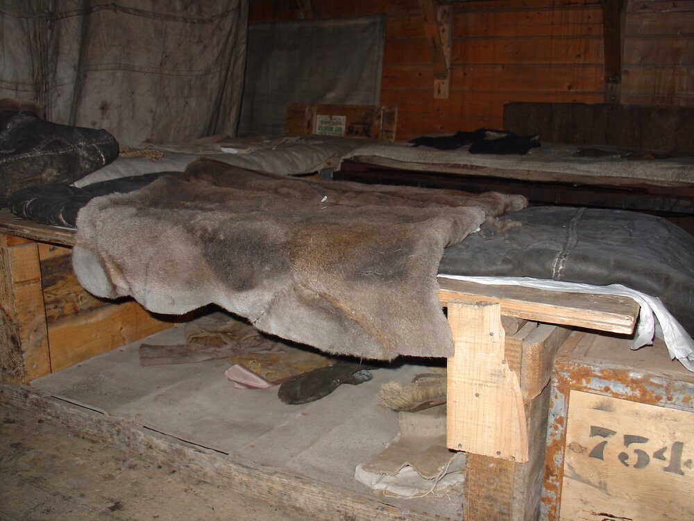 2003-04 Bunks and deer skin sleeping bags in Shackleton's 'Nimrod' Hut 