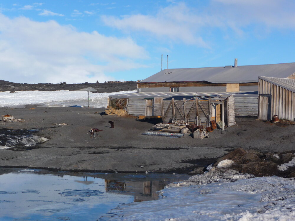 2008-09 'Terra Nova' hut, General exterior (113)