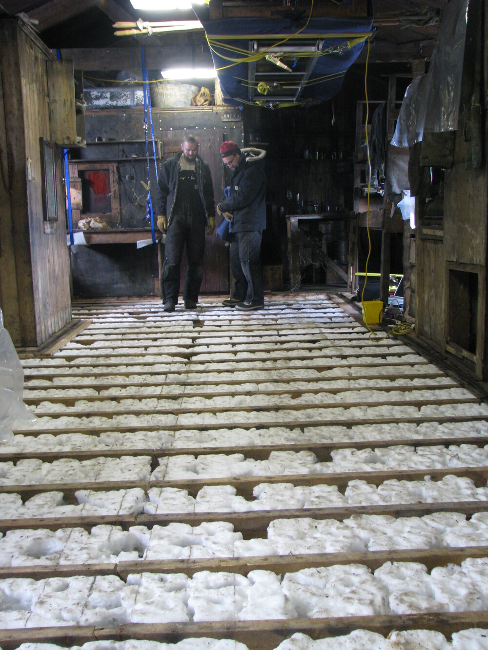 2008-09 'Terra Nova' hut, floor (033)