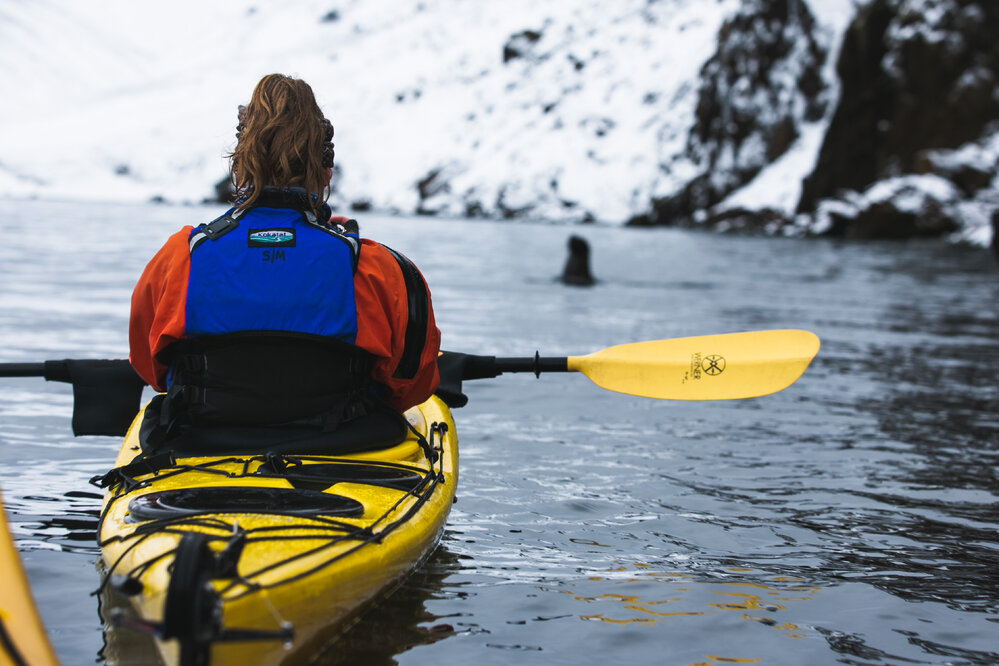 Inspiring Explorer Leah Stewart watches a seal from her kayak on the Antarctic Peninsula