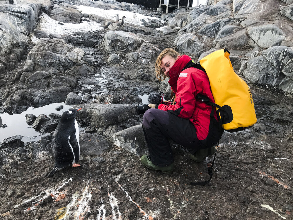 Inspiring Explorer Leah Stewart with gentoo penguin on Antarctic Peninsula