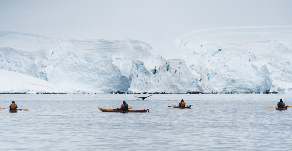 Kayakers whale watching in front of Antarctic Peninsula glacier
