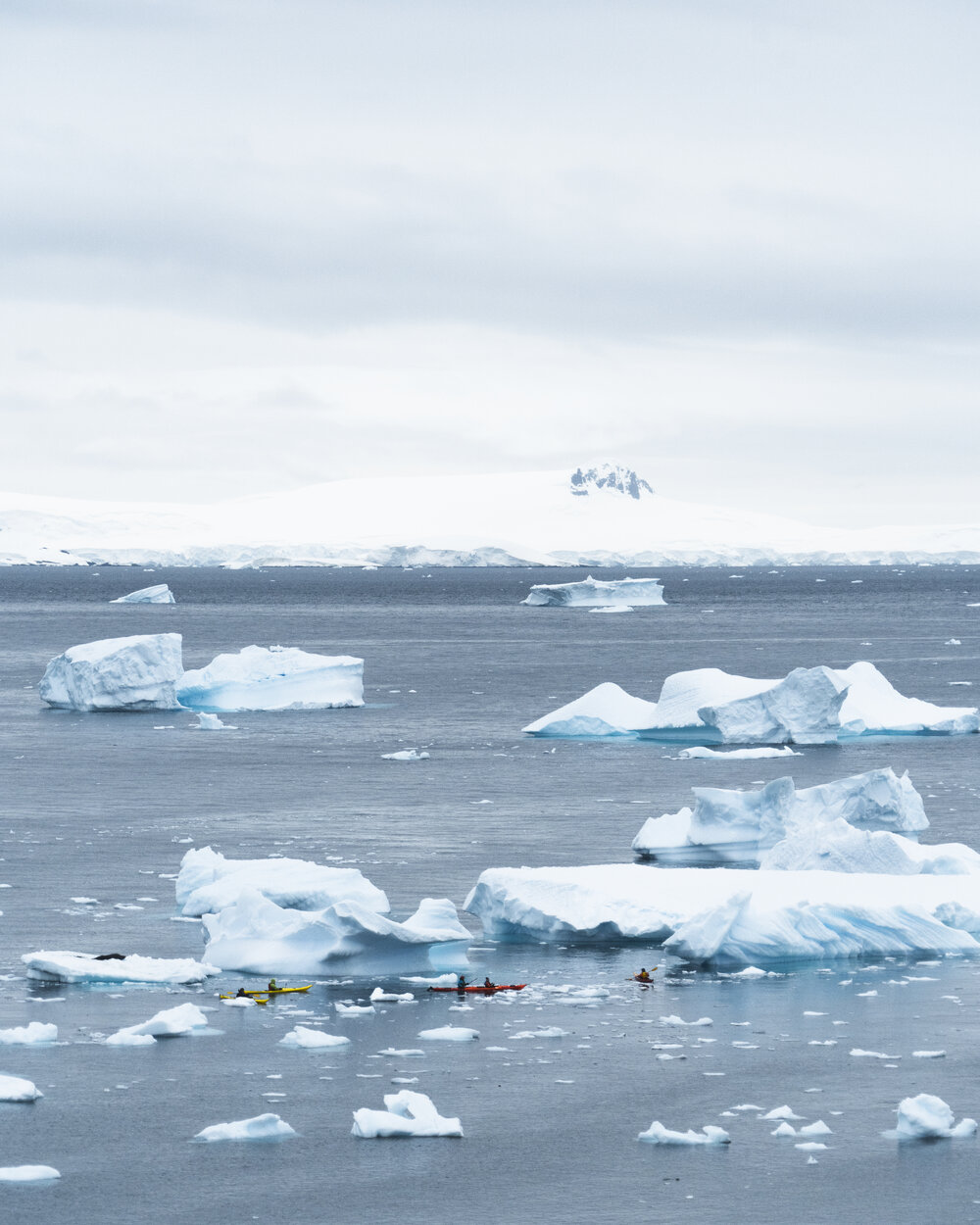 Kayakers investigating ice bergs on Antarctic Peninsula