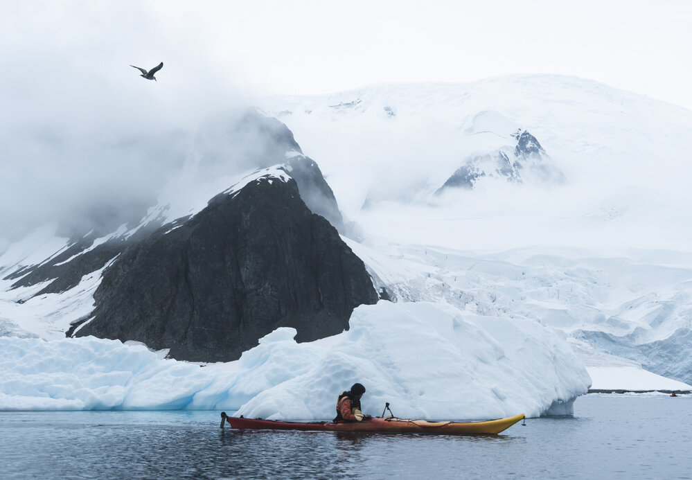 Alexander Hillary kayaking on Antarctic Peninsula