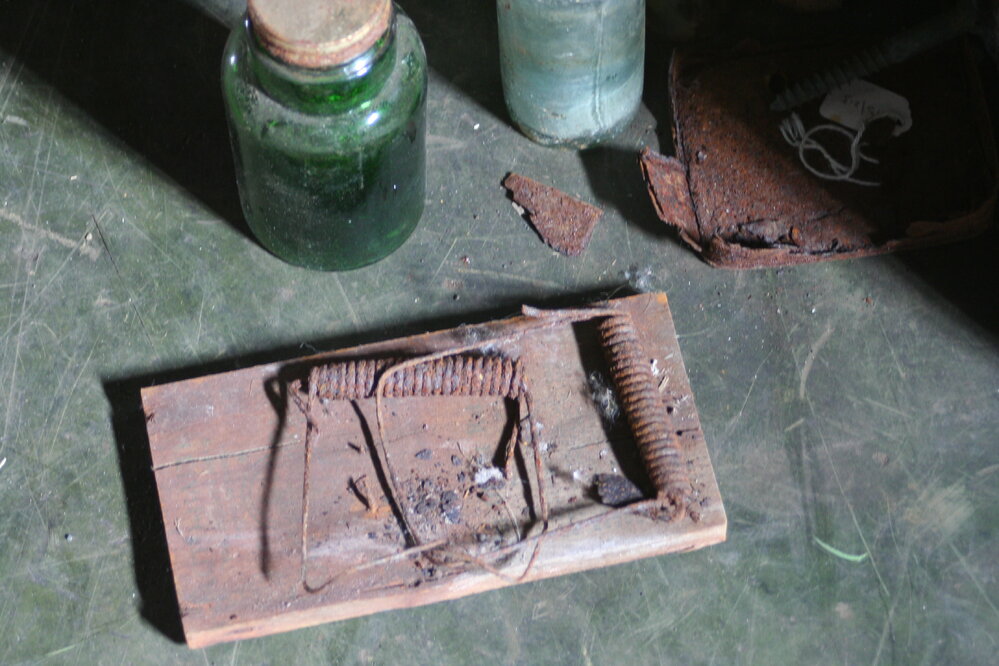 2008-09 'Terra Nova' hut, interior artefacts (275)
