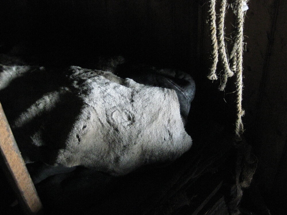 2008-09 'Terra Nova' hut, interior artefacts (302)
