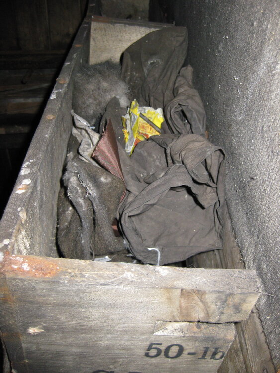 2008-09 'Terra Nova' hut, interior artefacts (357)