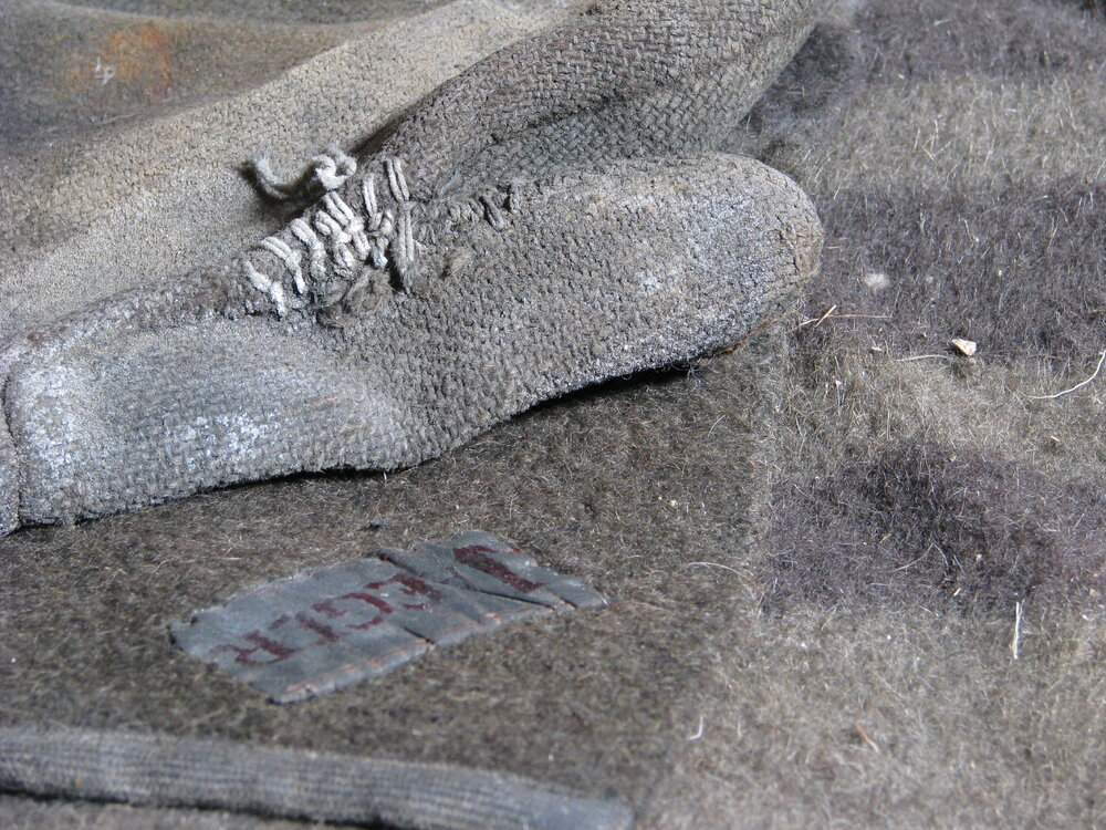 2008-09 'Terra Nova' hut, interior artefacts (020)
