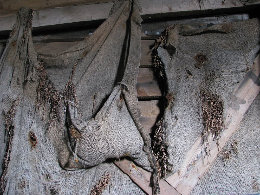 2008-09 'Terra Nova' hut, interior artefacts (028)