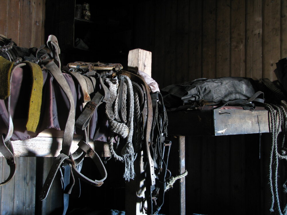 2008-09 'Terra Nova' hut, interior artefacts (051)