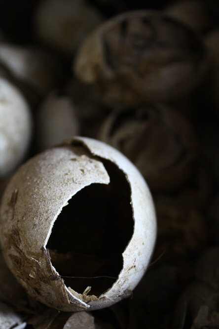 2008-09 'Terra Nova' hut, interior artefacts (154)