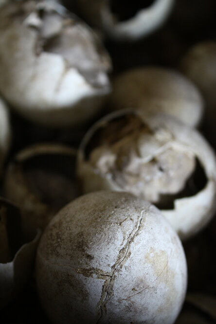 2008-09 'Terra Nova' hut, interior artefacts (155)