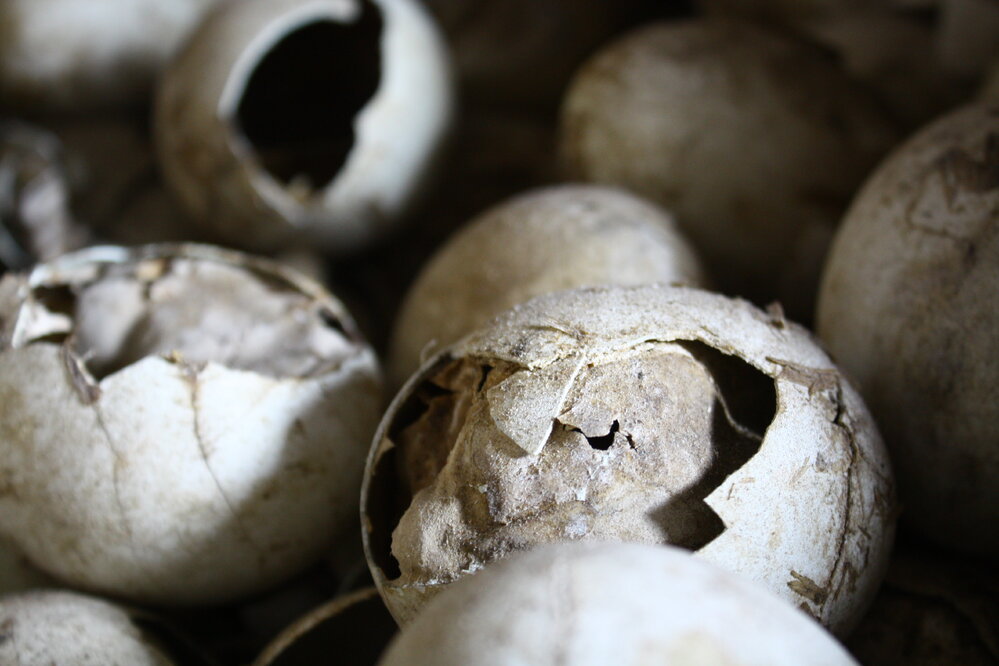 2008-09 'Terra Nova' hut, interior artefacts (153)