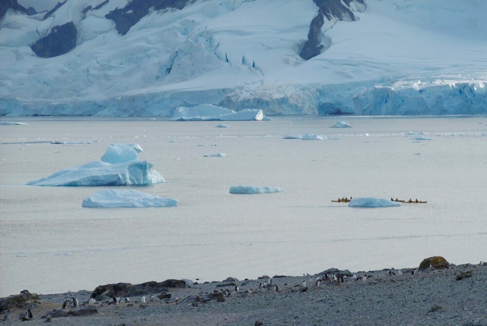 Penguins, kayaks and icebergs on Danco Island (001)