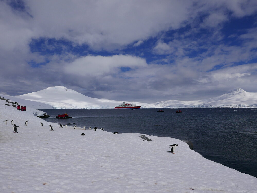 Arriving at Port Lockroy