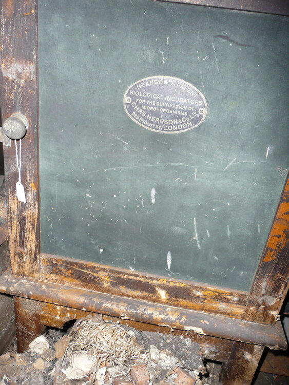 2008-09 'Terra Nova' hut, Interior (109)