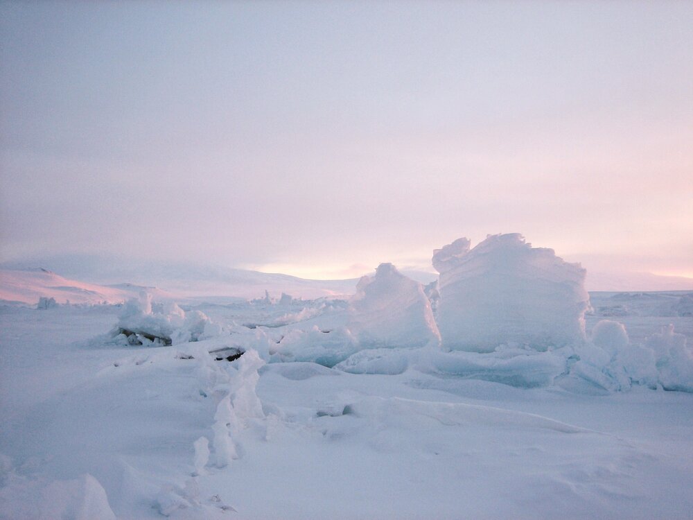 Winter 2009 Atmospheric Landscape (023)