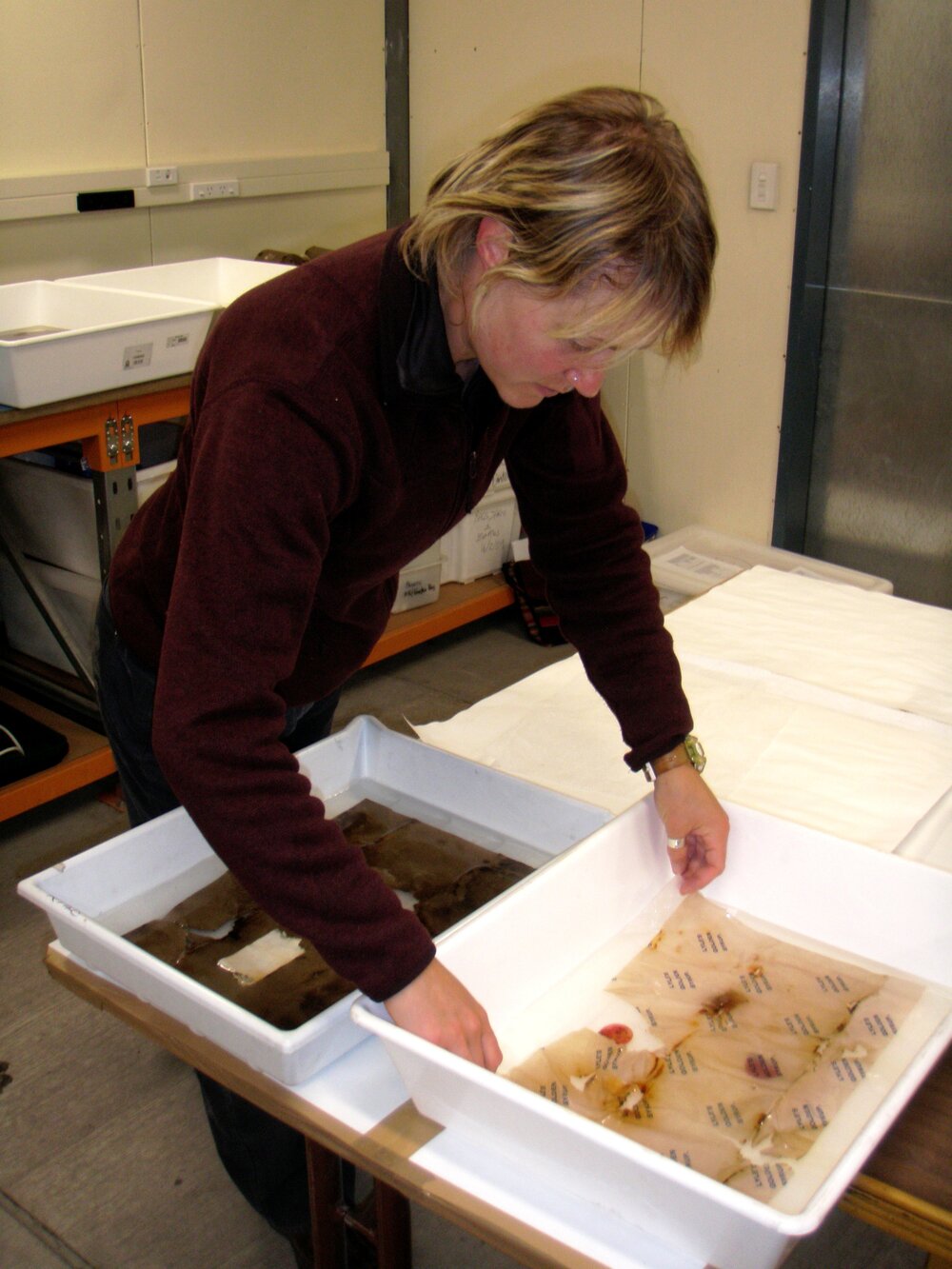 Winter 2009 AHT Conservator, Becky Cameron (002)