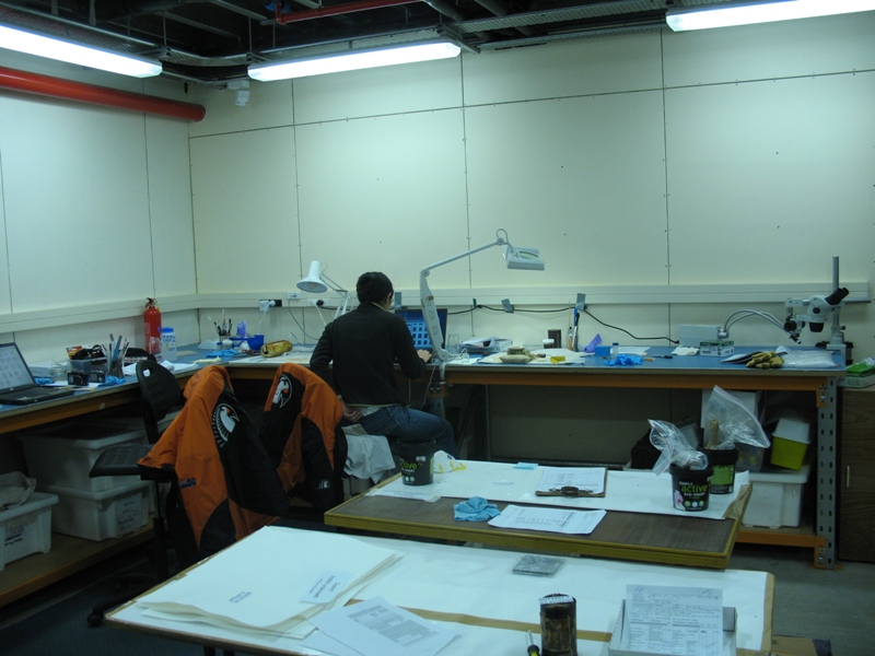 Winter 2009 Winter Conservation lab (002)