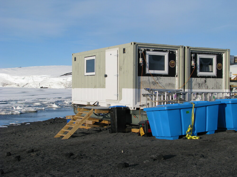 2008-09 'Terra Nova' hut, camp (040)