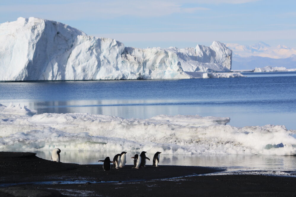 2008-09 Cape Evans, landscape (010)