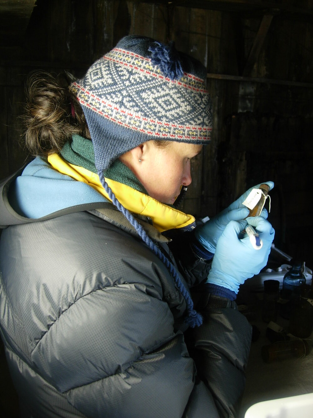 Megan Absolon, AHT Conservator