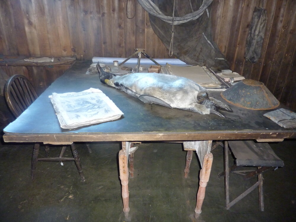 2009-10 Chart table in Scott's Cubicle, Scott's 'Terra Nova' hut
