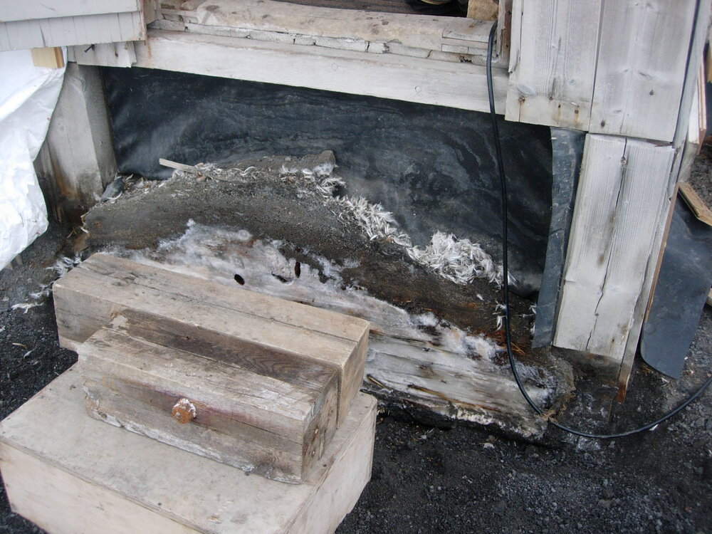 2007 Step to be replaced at Shackleton's 'Nimrod' hut, Cape Royds (004)