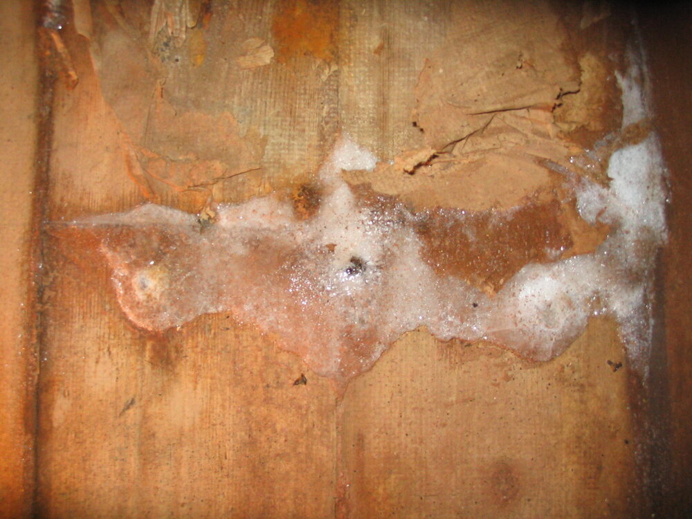 2007 Lino removed showing moisture inside Scott's 'Terra Nova' hut (002)