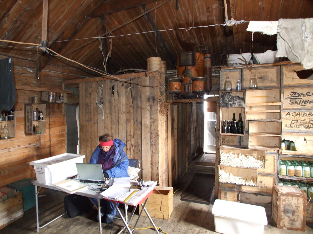 2006-07 Natalie Cadenhead updating the Vernon database, Cape Royds