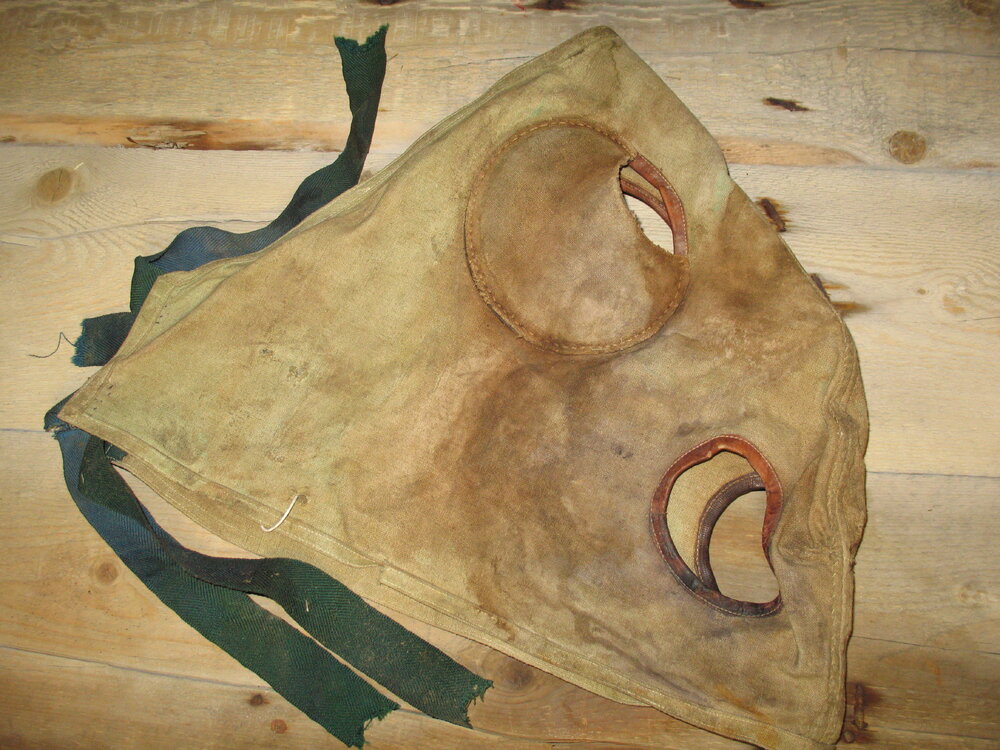 2007 K170 at Scott's 'Terra Nova' Hut stables - pony head protector