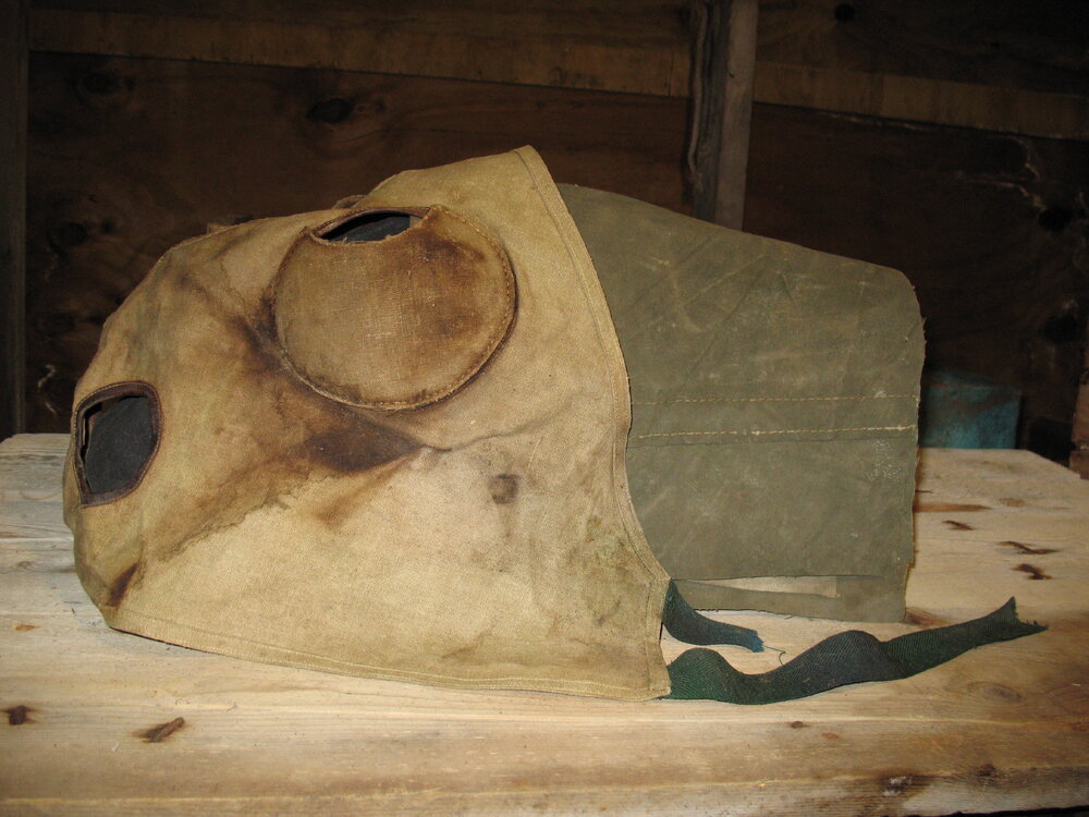 2007 K170 at Scott's 'Terra Nova' Hut stables - pony head protector (003)
