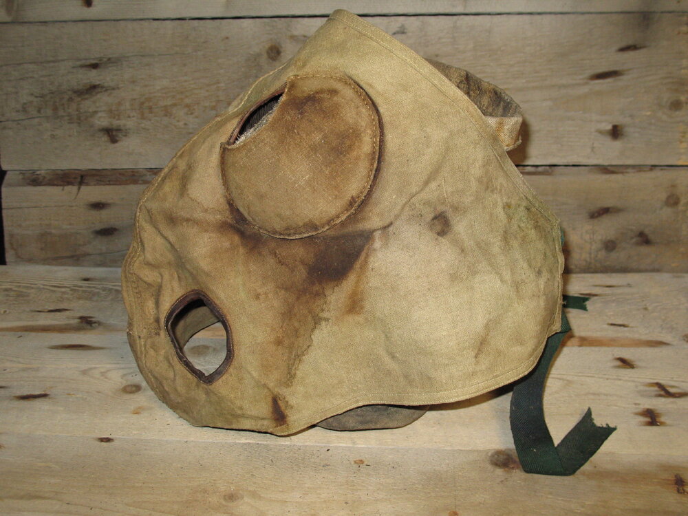 2007 K170 at Scott's 'Terra Nova' Hut stables - pony head protector (008)