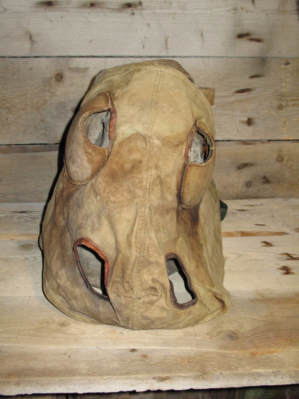 2007 K170 at Scott's 'Terra Nova' Hut stables - pony head protector (009)