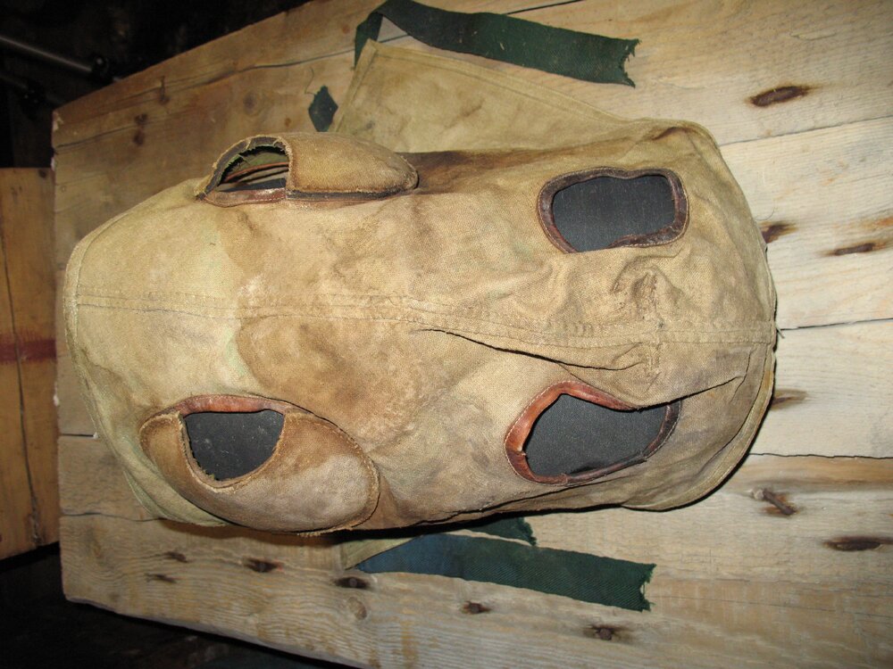 2007 K170 at Scott's 'Terra Nova' Hut stables - pony head protector (010)
